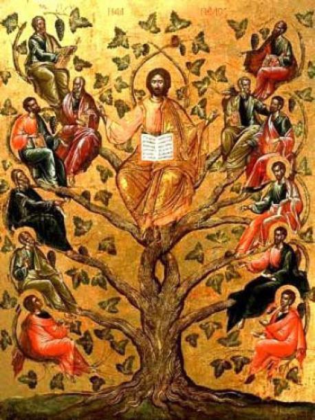 Duminica dinaintea Nașterii Domnului- Genealogia Domnului Hristos